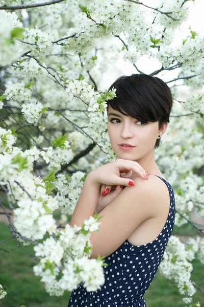 Chica en las flores de cerezo — Foto de Stock