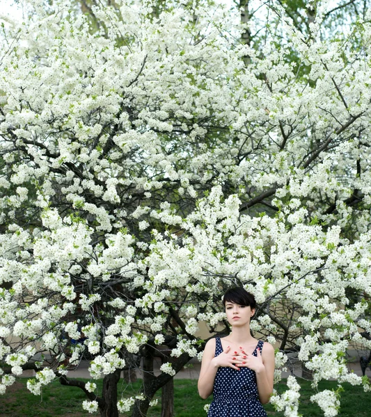 在盛开的樱花树下的女孩 — 图库照片