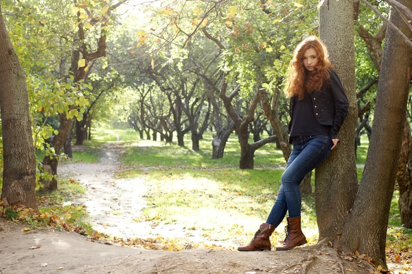 Menina no parque de outono — Fotografia de Stock