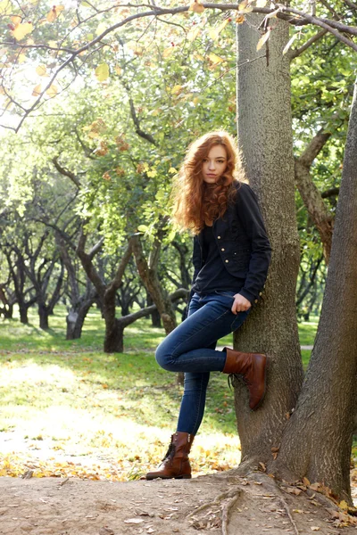 Ragazza nel parco di autunno — Foto Stock