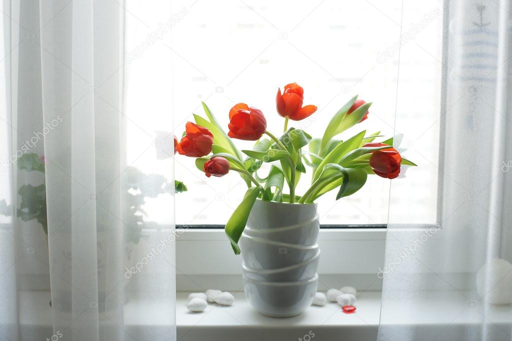 Flowers In The Window Stock Photo Image By C Oliveshadow 60362931