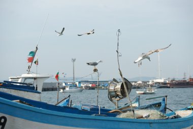 Kıyıdaki balıkçı tekneleri