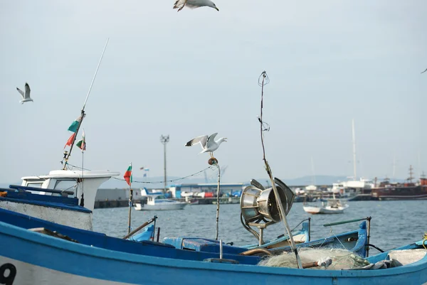 Fishing boats on the shore