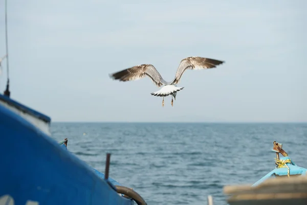 Barcos de pesca na costa — Fotografia de Stock