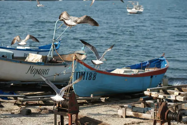 Barcos de pesca na costa — Fotografia de Stock