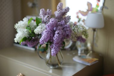 Demet leylak rafın üzerinde