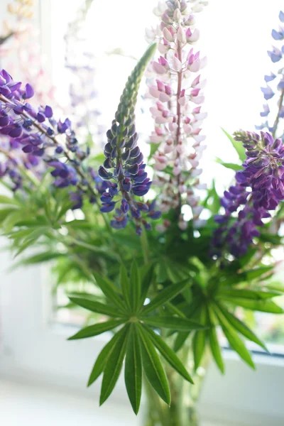 Bouquet de lupin — Photo