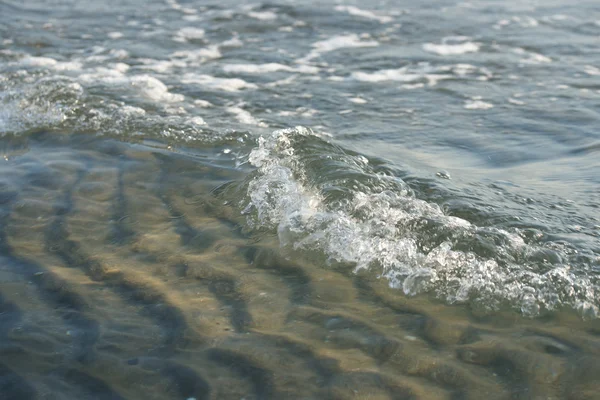 Mer Noire, Bulgarie, été — Photo