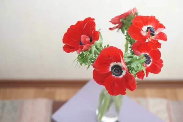 Ramo de anémona decorativa roja — Foto de Stock