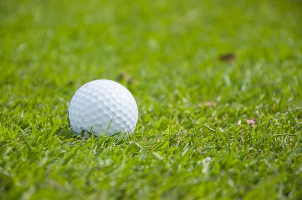 Детали мяча для гольфа на траве — стоковое фото