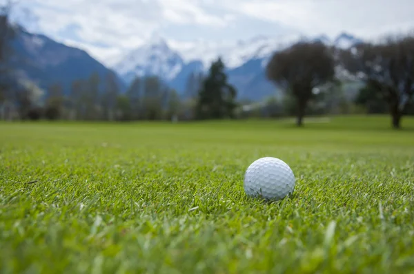 Detalhe da bola de golfe na grama — Fotografia de Stock