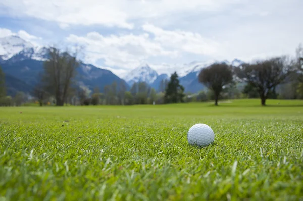 Detalhe da bola de golfe na grama — Fotografia de Stock