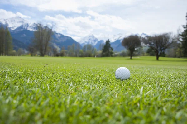 Detalhe da bola de golfe na grama — Fotografia de Stock