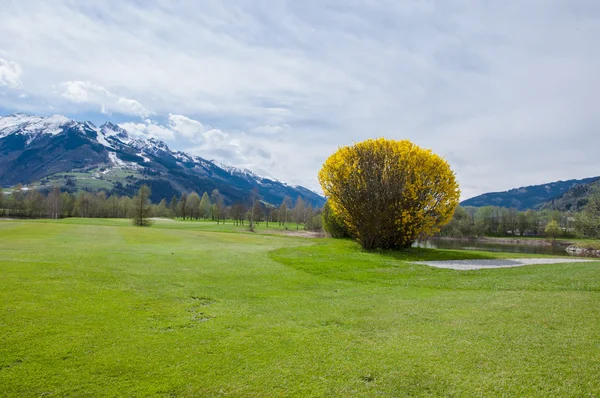 Golfbane i bjerge - Stock-foto