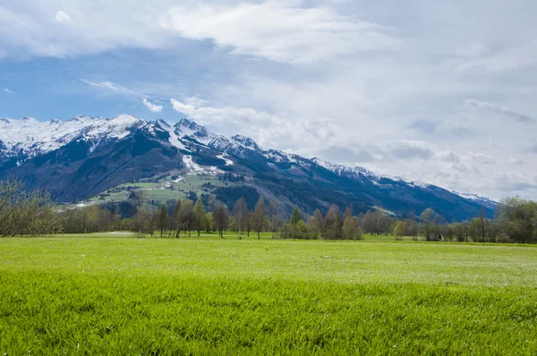 Campo da golf in montagna — Foto Stock