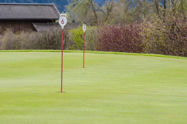 Golfe verde closeup — Fotografia de Stock