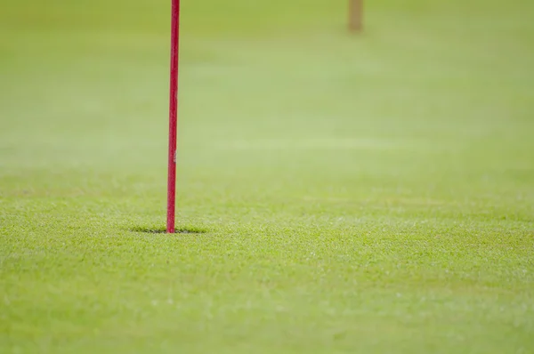 ゴルフ グリーンのクローズ アップ — ストック写真