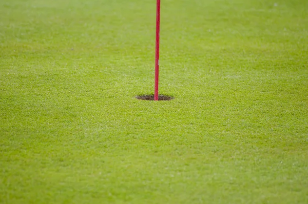 Golf verde primo piano — Foto Stock