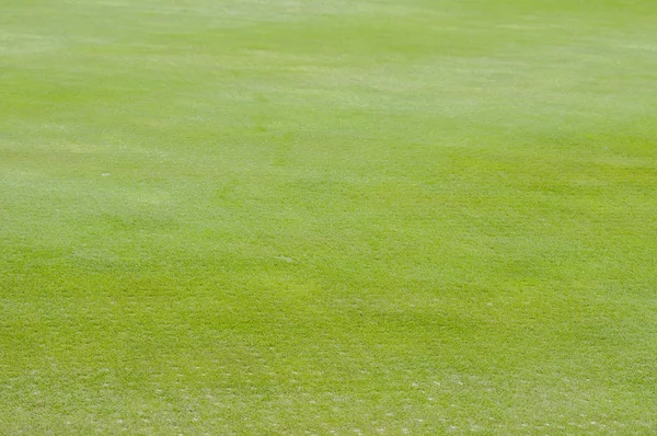 Close up of Golf green — Stock Photo, Image