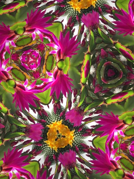 Caleidoscopio fondo de flores —  Fotos de Stock