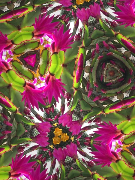 Kaleidoskop Blume Hintergrund — Stockfoto