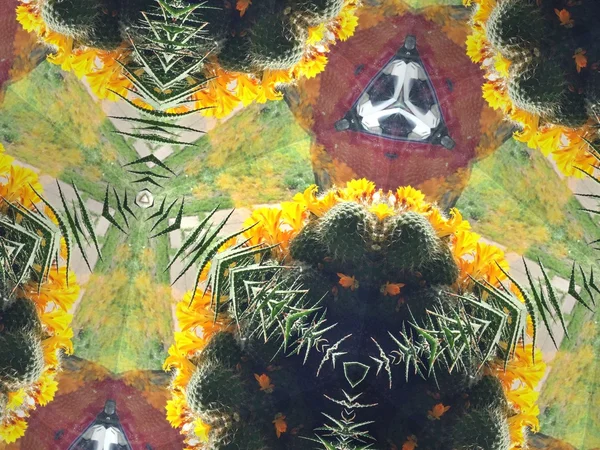 Kaleidoszkóp virágot háttér — Stock Fotó