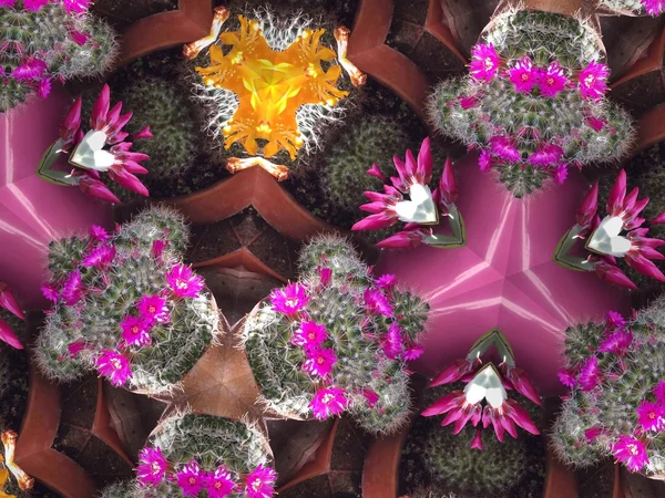 Kaleidoskop Blume Hintergrund — Stockfoto