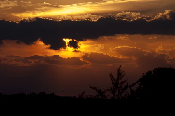 Pôr do sol da noite na natureza — Fotografia de Stock