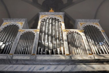 Boru organ