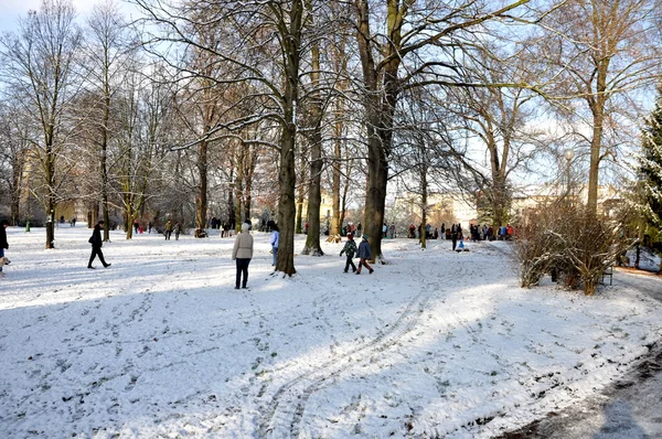 Paseo nevado en el parque — Foto de Stock