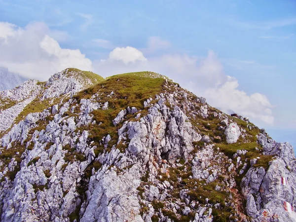 Natureza dos Alpes — Fotografia de Stock