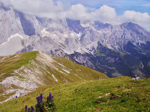 Alpes naturaleza — Foto de Stock