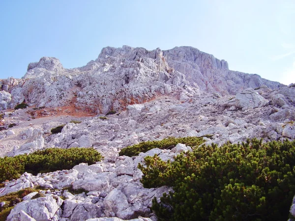 Alps nature — Stock Photo, Image