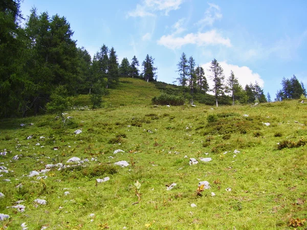 Альп природи — стокове фото