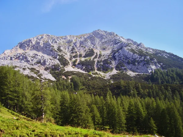 Natureza dos Alpes — Fotografia de Stock