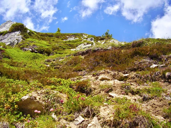 Швейцарські Альпи — стокове фото