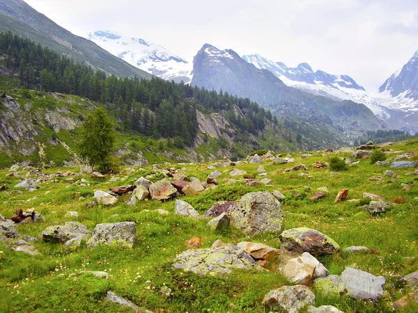 Swiss alps — Stock Photo, Image