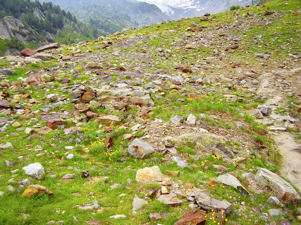 Swiss alps — Stock Photo, Image