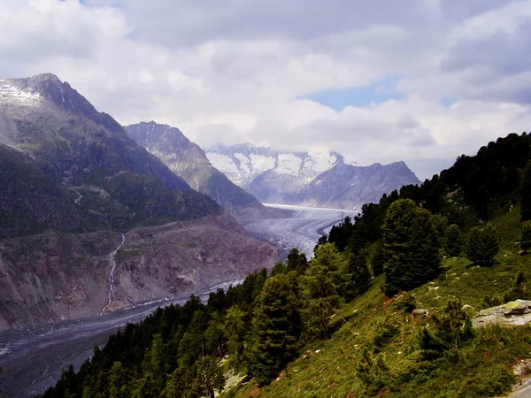 Aletsch glacier — Stock Photo, Image