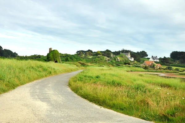 Route in nature — Stock Photo, Image