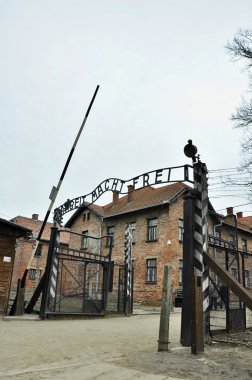 Auschwitz Toplama Kampı