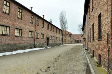 Auschwitz Birkenau'da