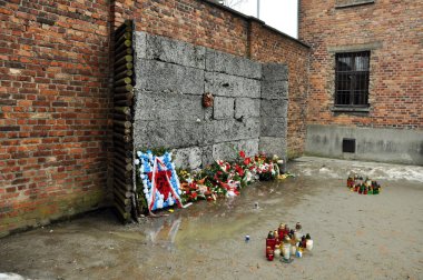 Auschwitz Toplama Kampı