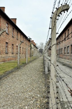 Auschwitz Toplama Kampı