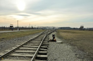 Auschwitz Birkenau'da