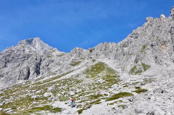 Alpi vedere — Fotografie, imagine de stoc