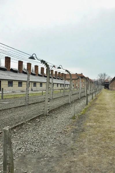 Auschwitz Birkenau'da — Stok fotoğraf