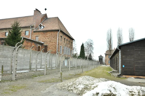 Concentration camp auschwitz — Stock Photo, Image