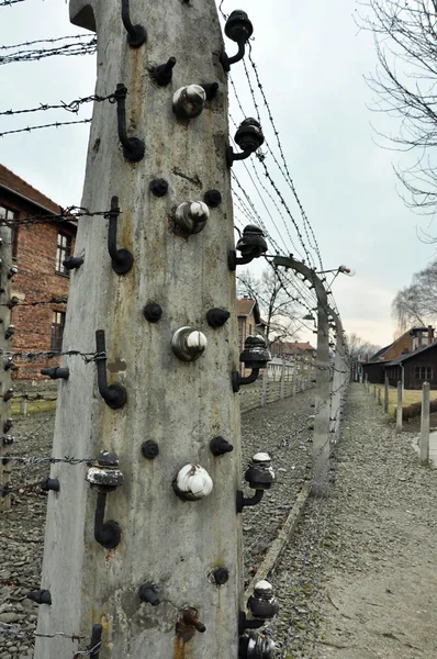 Auschwitz Birkenau —  Fotos de Stock
