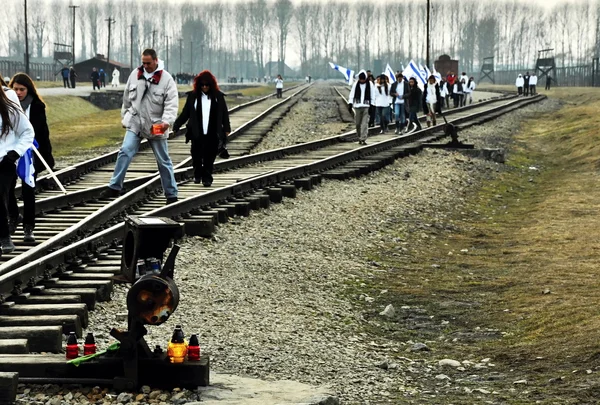 Auschwitz Toplama Kampı — Stok fotoğraf